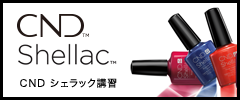 CND シェラック講習